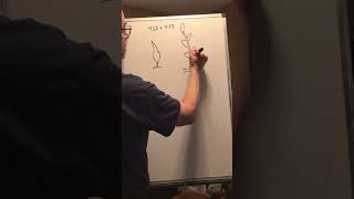 Mr C Biology 14 part 1