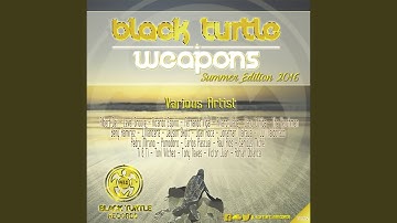 Corruption (Alvaro Smart & Sebastian Ledher Remix)