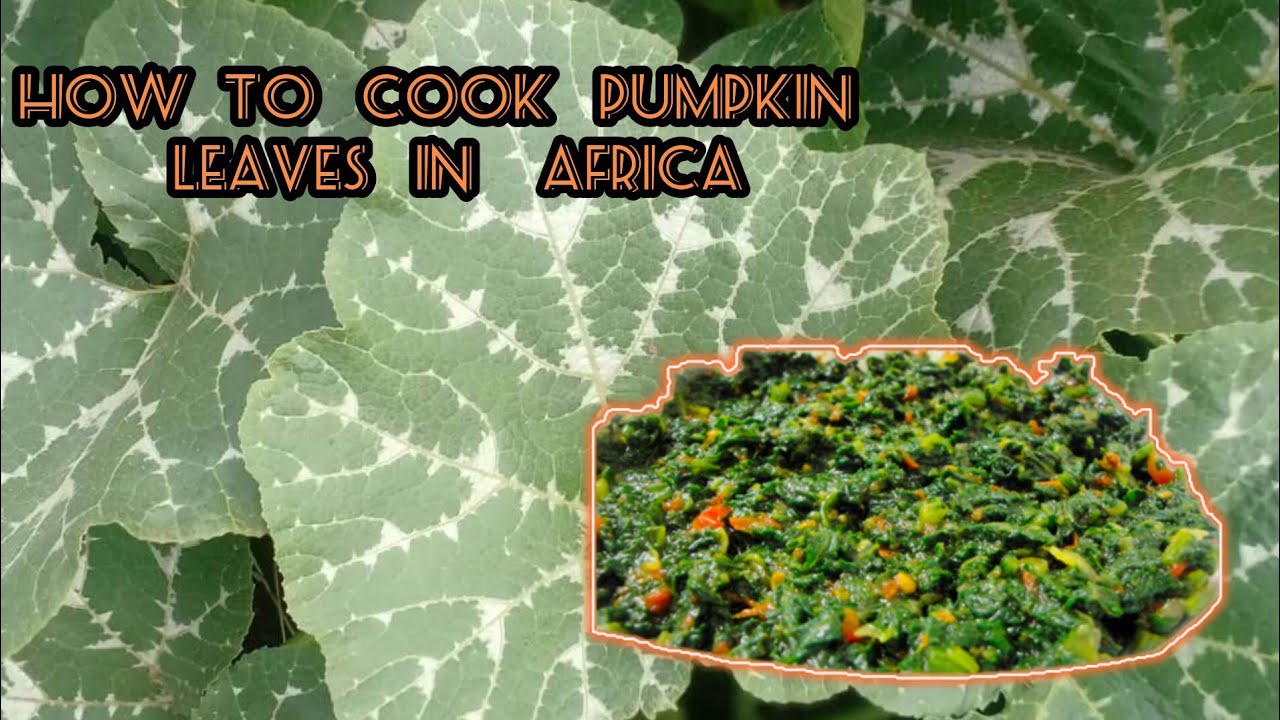 How we cook pumpkin leaves in Africa, Zambia YouTube