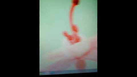 Online Class by Srishti Arora | Class 5 | Chapter- 3 | Part -1