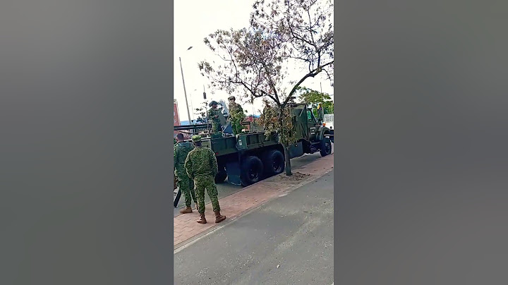 20 de julio desfile militar Bogotá infantería de marina