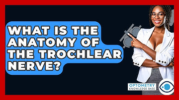 What Is The Anatomy Of The Trochlear Nerve? - Optometry Knowledge Base