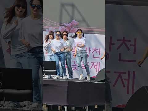 은평셔플노리터 2026 불광천 벚꽃축제