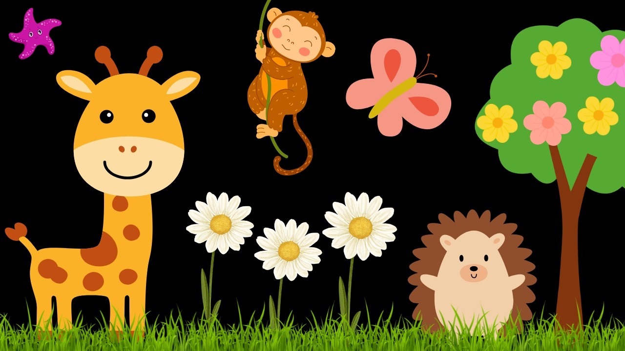 Baby Sensory Video – High Contrast for Newborn – Sensory Videos for Babies - Infant Tummy Time #baby