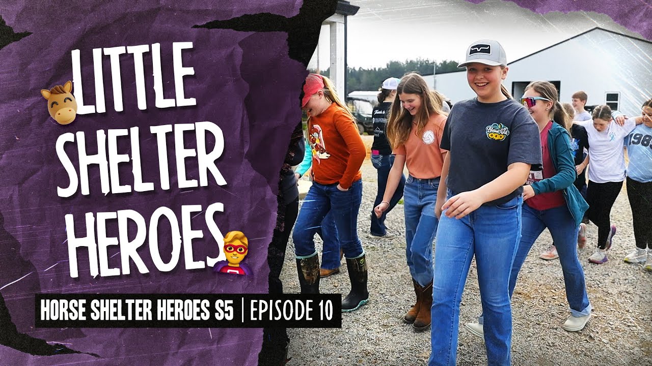 Horse Shelter Heroes S5E10 - Little Shelter Heroes!