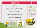 برنامج صحتك بالدنيا زيت الزيتون انتاج تلفزون الشراع