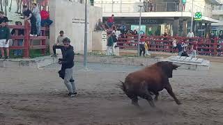 Largada Azambuja Centenária Feira De Maio 2025