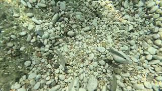 Foot Spa Experience at Nissaki Beach | Corfu