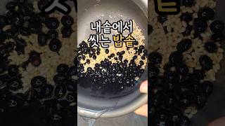 내솥에서 씻어도 스크레치 제로? #티탄컬렉션 #쿠첸 밥솥