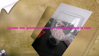 Réaliser Un Terrarium Avec Atelier Lina Flowers Create A Terrarium With Ateliers Lina Flowers