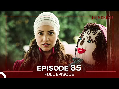 Lovebird Episode 85