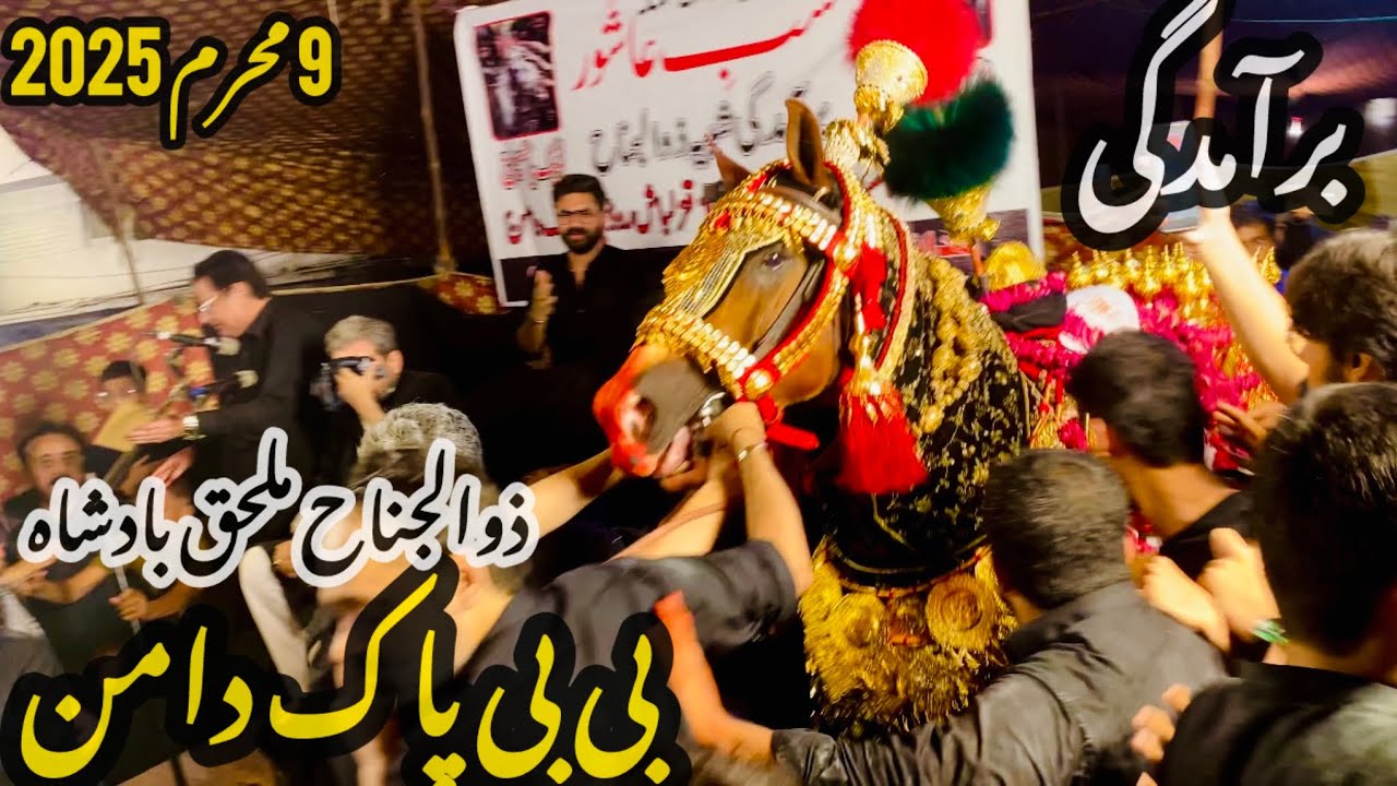 9 Muharram 2025 | Bibi Pak Daman | Baramdagi Zuljanah Mulhaq Badshah | Lahore