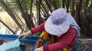 103\Vợ chồng mắc mưa, hết chuột... nhưng trúng nguyên bầy rắn khủng | Săn bắt SÓC TRĂNG |