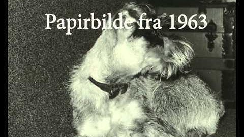 Eksempler på bilde digitalisering fra DigEx & Mulitmedia Experten