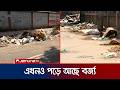 প্রতিশ্রুত সময়ের পরও রাজধানীর সড়কে বর্জ্য; নগরবাসীর কী অভিযোগ? | Waste Disposal | Jamuna TV