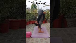 Watch till the end | Tittibhasana | trending youtubeshorts shorts viral tittibhasana