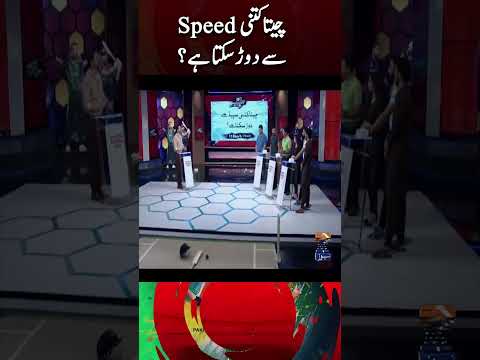 How fast can a cheetah run? #abdulrazzaq #mohammadamir #imadwasim #worldcup2023 #shorts