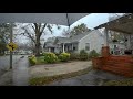 Relaxing spring rain walk through north carolina neighborhood  nature sounds for sleep and study