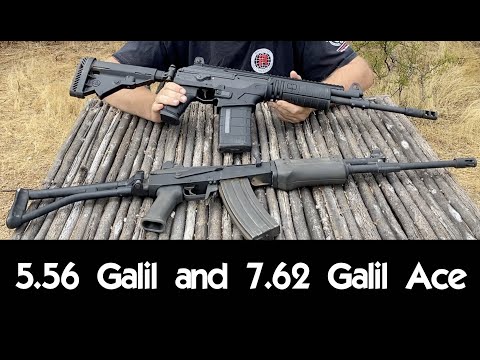 5.56 Galil and 7.62 Galil ACE