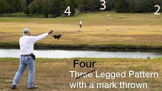 Celebrity The Most Famous Lining Drill for Retrievers Ever Created with Bill Hillmann Wealth