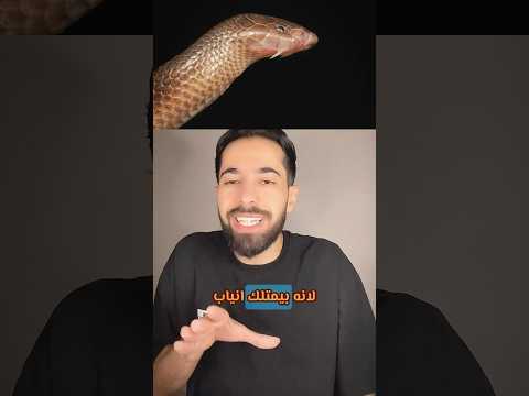 اصغر واخطر ثعبان قاتـ ل الاسود الخبيث