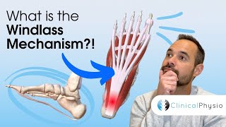 What is the Windlass Mechanism? | How The Role of The Plantar Fascia Helps Us Walk!