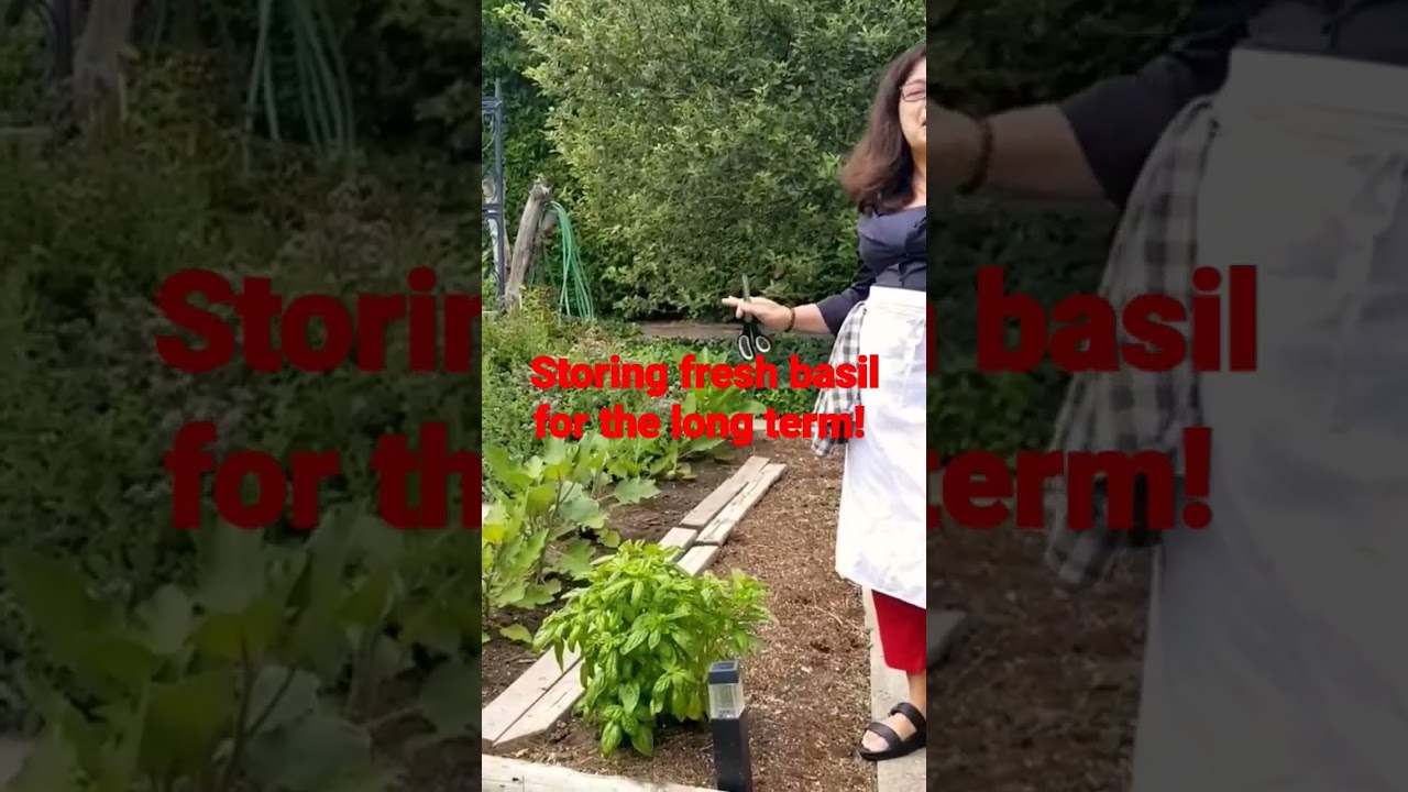 Storing fresh basil for the long term! YouTube