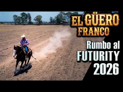 Working in the Paddock - El Güero Franco - 4th Horse - Heading to the 2026 Futurity