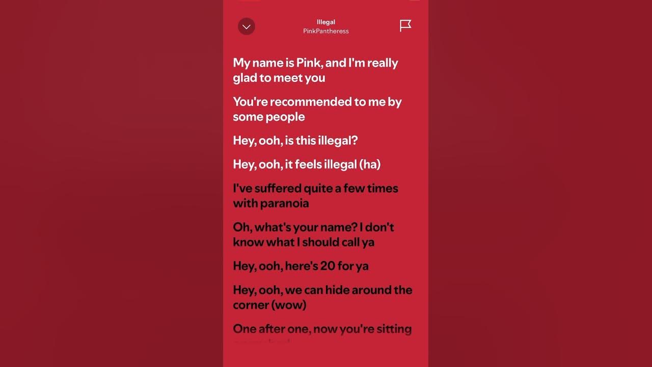 PinkPantheress - Illegal #hitmusic #trending #tiktok #fyp #newmusic #music #lyrics