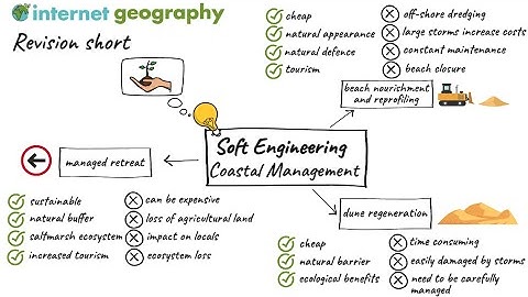 Soft Engineering Coastal Management Revision Short