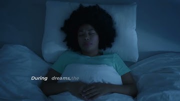 Why Do We Dream? The Science Behind Dreams