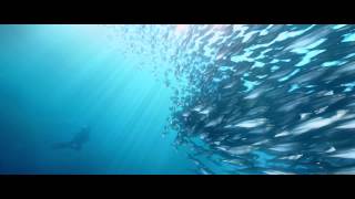 Its More Fun In The Philippines Cebu Tv Commercial Philippine Department Of Tourism