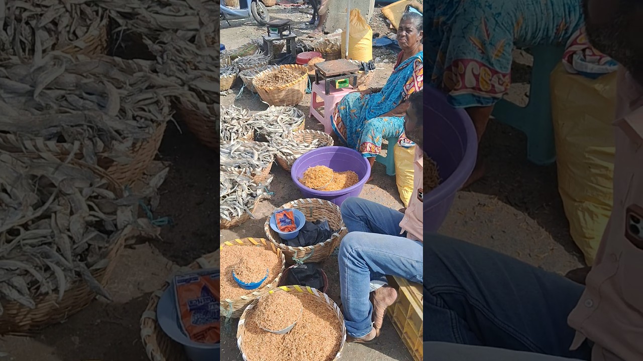 💥🐠 Kasimedu Dryfish very low price | Kasimedu fish market 