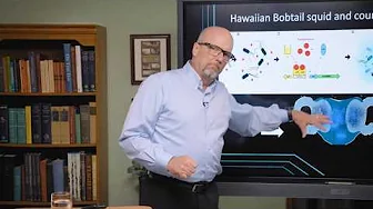 How Did Germs Turn from Friend to Foe? | Dr. Joe Francis