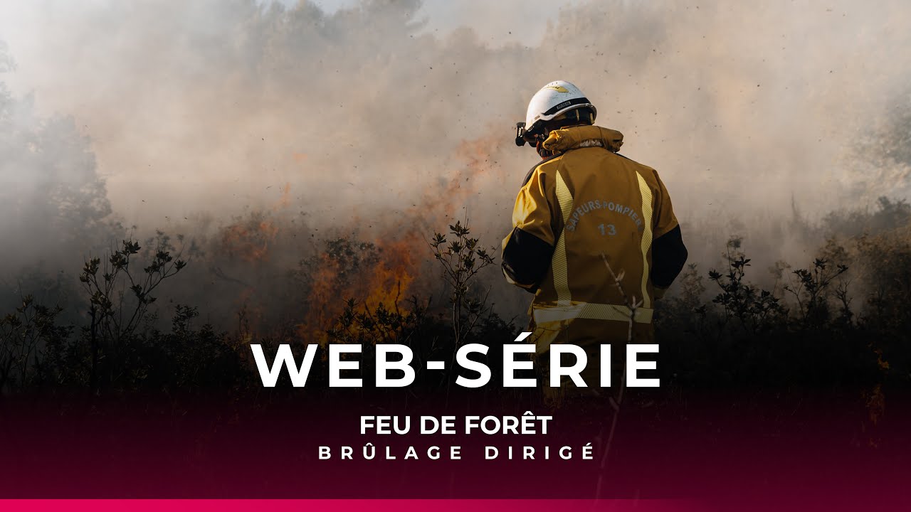 Web-série feu de forêt : épisode 1 : le brûlage dirigé