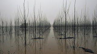 El río Ebro se desborda dejando inundaciones en varias poblaciones del noreste de España