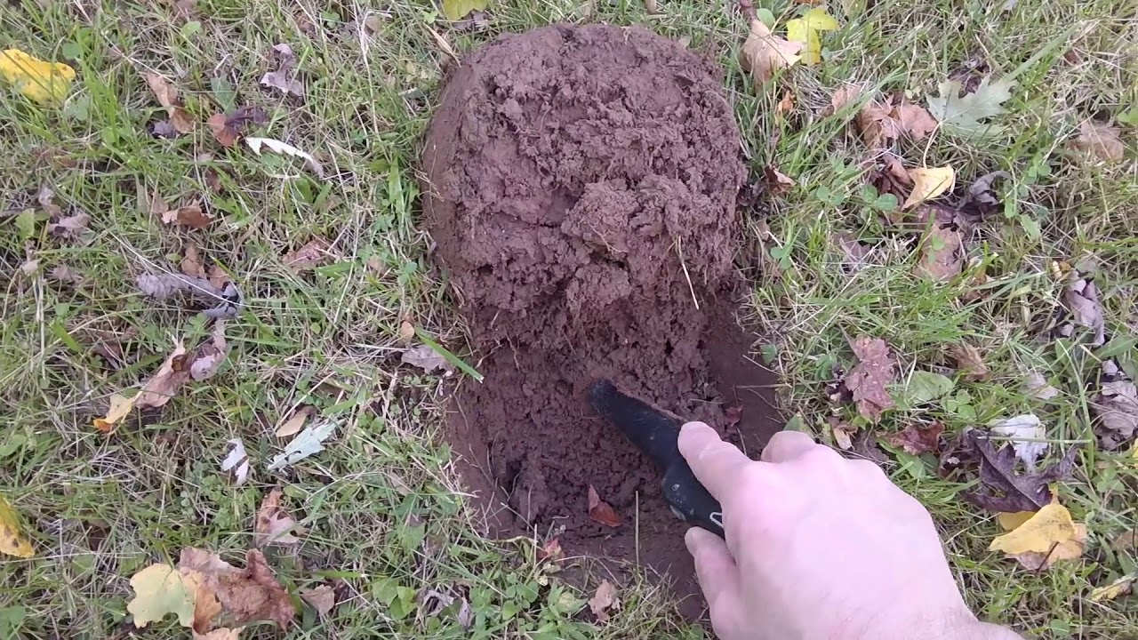 Metal Detecting ! Out with the Nokta Fors Core -5 Inch coil in the ...