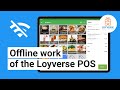 Using loyverse pos offline