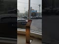 Holy hell its torrential downpours in Little Italy 🇮🇹 today. Could see shit my whole ride in