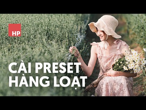 Cách cài thêm nhiều Preset cùng lúc vào Camera Raw và Lightroom