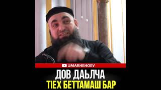 УМАР ХЕХОЕВ ДОВ ДАЬЛЧА Т1ЕХ БЕТТАМАШ БАР ХЬЕХАМ