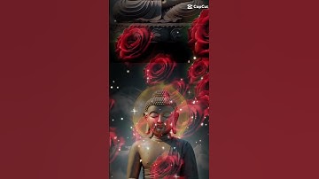 Phật dạy 3 đức tính nói lên người có vận mệnh tốt | #loiphatday | #shortvideo