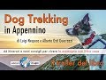 Melody racconta il suo libro : Dog Trekking in Appennino - 44 escursioni con il tuo cane