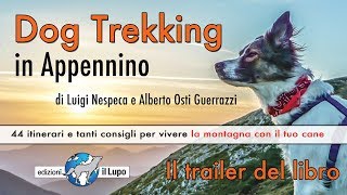 Melody racconta il suo libro : Dog Trekking in Appennino - 44 escursioni con il tuo cane
