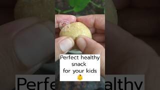 Healthy snack idea for kids 👶 Almond laddu 💛 #babyfood #homemadebabyfood