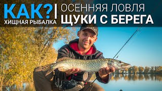 видео: Как? Ловля щуки с берега осенью. картинка: Как? Ловля щуки с берега осенью.