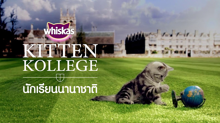EP.2 นักเรียนนานาชาติ : วิสกัส