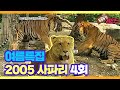 [TV 동물농장 레전드] 🌊여름특집🌊 ‘2005 사파리’ 다시보기 EP.4 I TV동물농장 (Animal Farm) | SBS Story