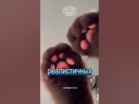 У меня лапки: перчатки в виде кошачьих лап - YouTube