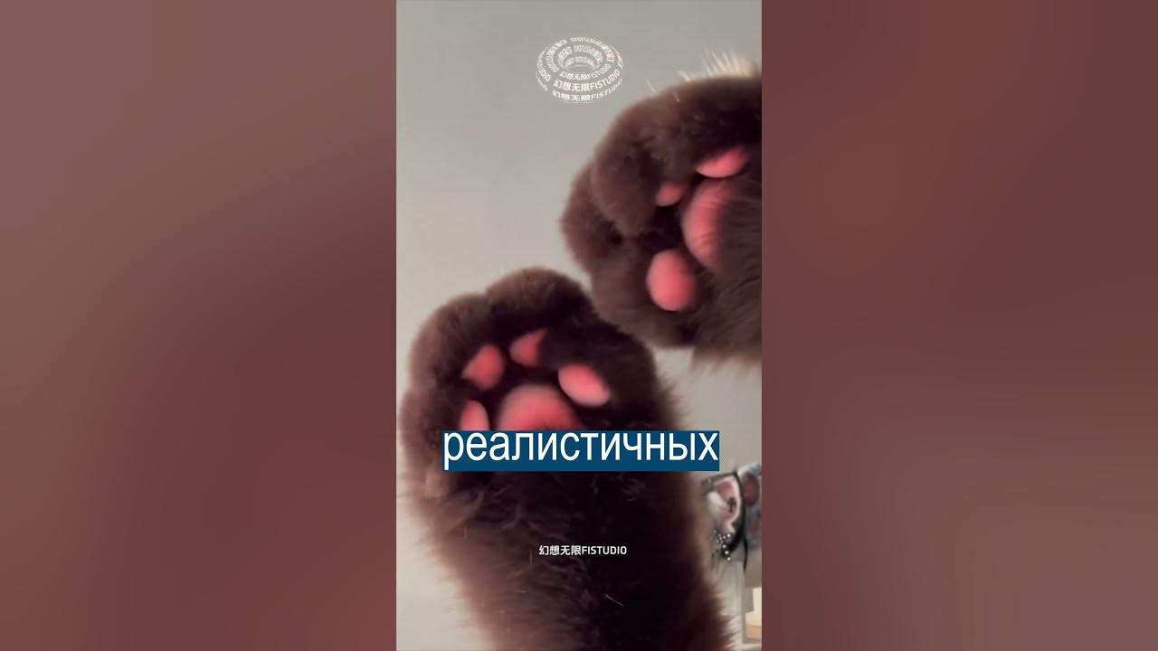 У меня лапки: перчатки в виде кошачьих лап - YouTube